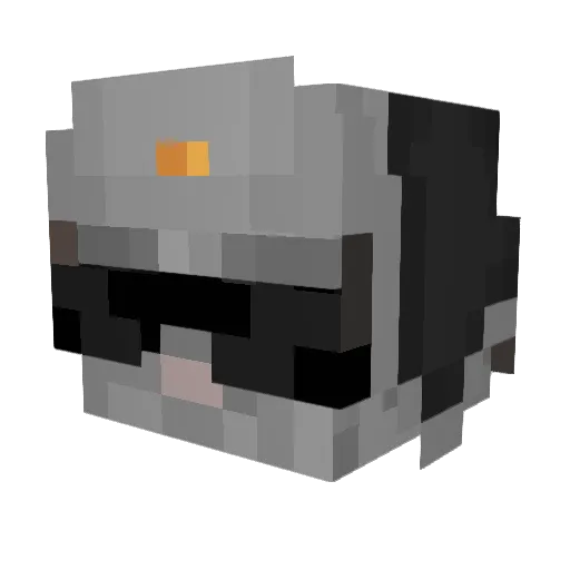 6albecbtw Minecraft avatar head, 3D render
