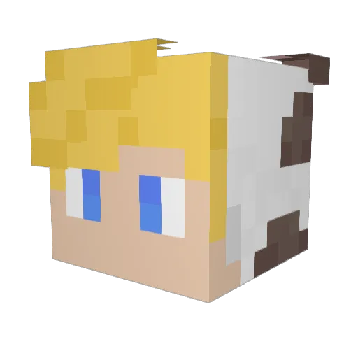 6avope Minecraft avatar head, 3D render