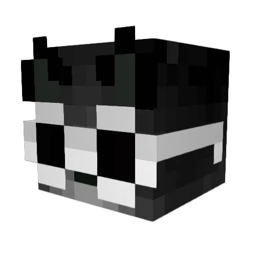 6blackcat6 Minecraft avatar head, 3D render