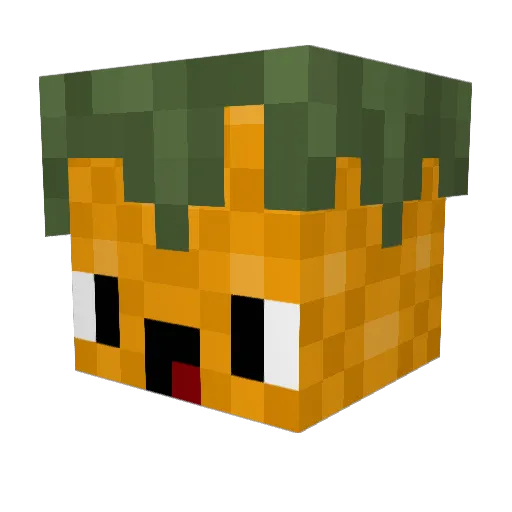 6chrier Minecraft avatar head, 3D render
