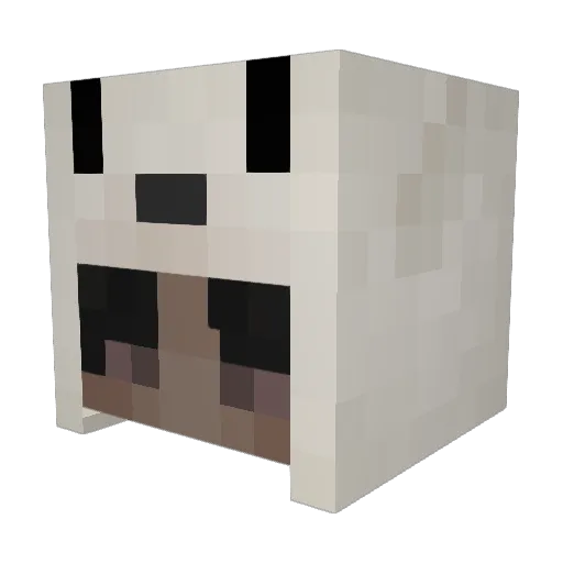 6exy Minecraft avatar head, 3D render