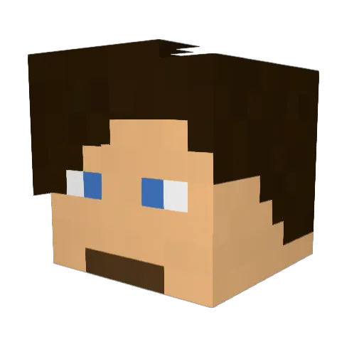 6fifty Minecraft avatar head, 3D render