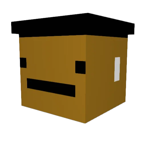 6ft3_Feminist Minecraft avatar head, 3D render