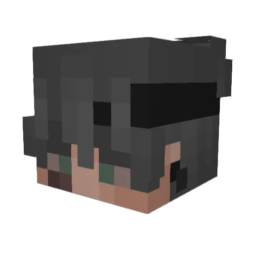 6fw Minecraft avatar head, 3D render