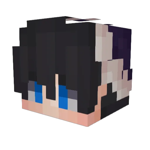 6hdd Minecraft avatar head, 3D render