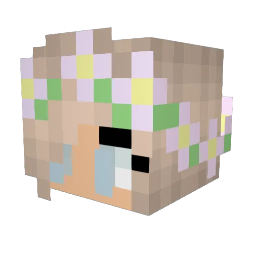 6hourzz Minecraft avatar head, 3D render