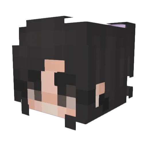 6lli Minecraft avatar head, 3D render