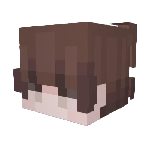 6maxi9 Minecraft avatar head, 3D render