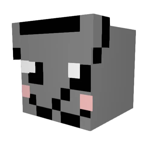 6months Minecraft avatar head, 3D render