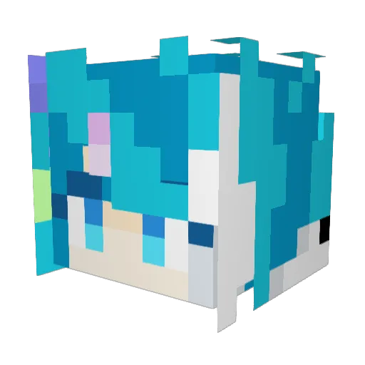 6nas3 Minecraft avatar head, 3D render