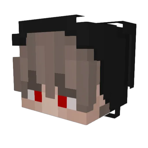 6nt_ Minecraft avatar head, 3D render