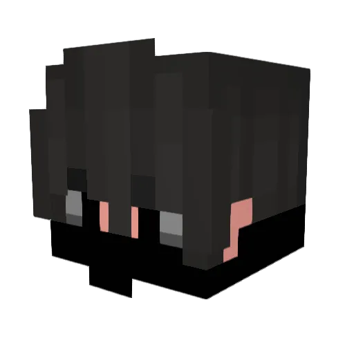 6oop Minecraft avatar head, 3D render