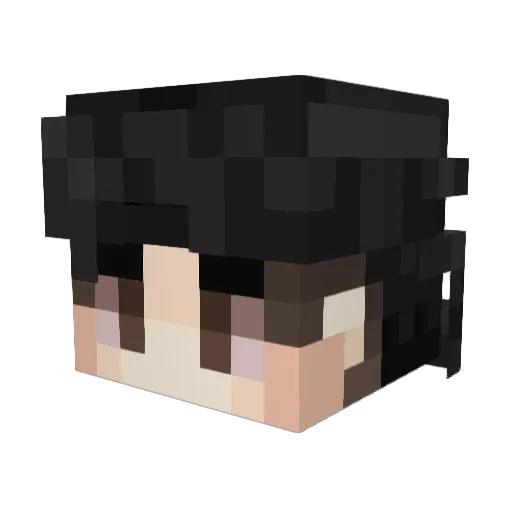 6ot3o Minecraft avatar head, 3D render