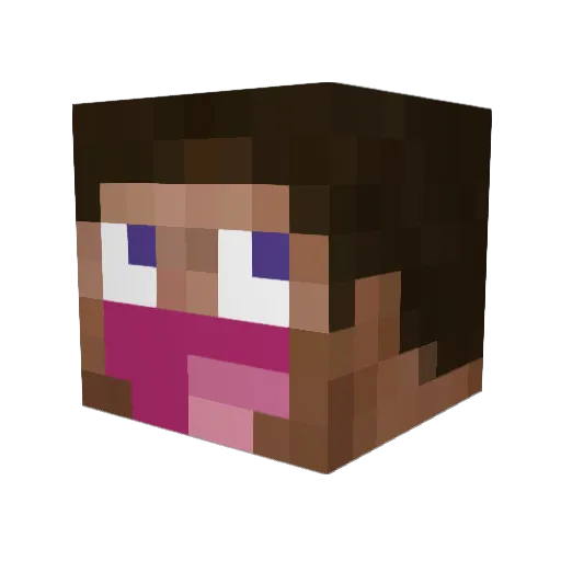 6paq Minecraft avatar head, 3D render