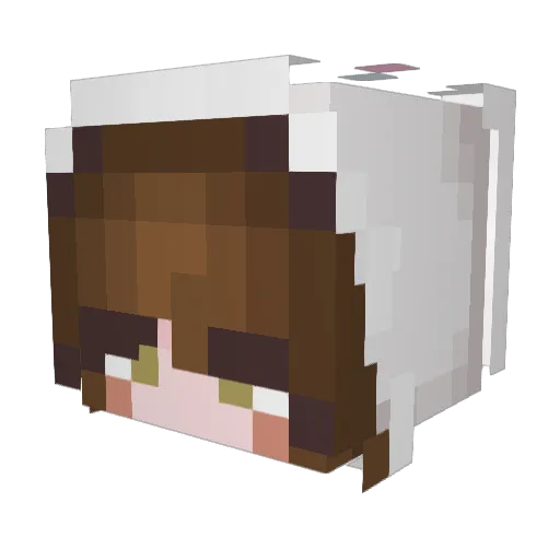 6qia Minecraft avatar head, 3D render