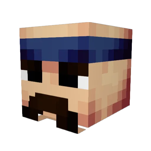 6r4n074 Minecraft avatar head, 3D render