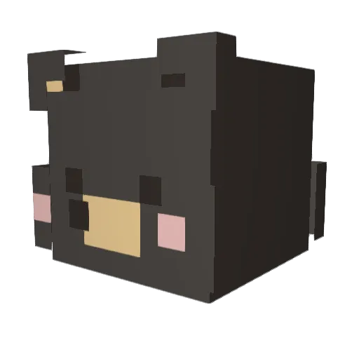 6rang Minecraft avatar head, 3D render