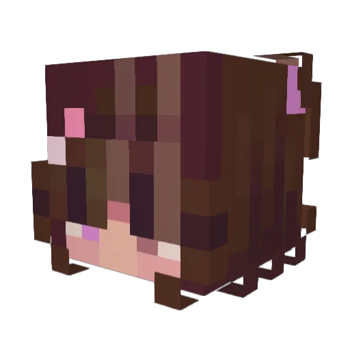 6rei Minecraft avatar head, 3D render