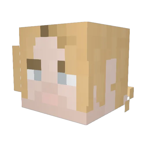 6sidewise9 Minecraft avatar head, 3D render