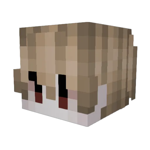 6slumps Minecraft avatar head, 3D render