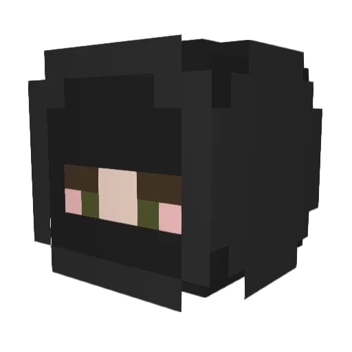6snss Minecraft avatar head, 3D render