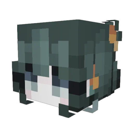 6uadiita Minecraft avatar head, 3D render