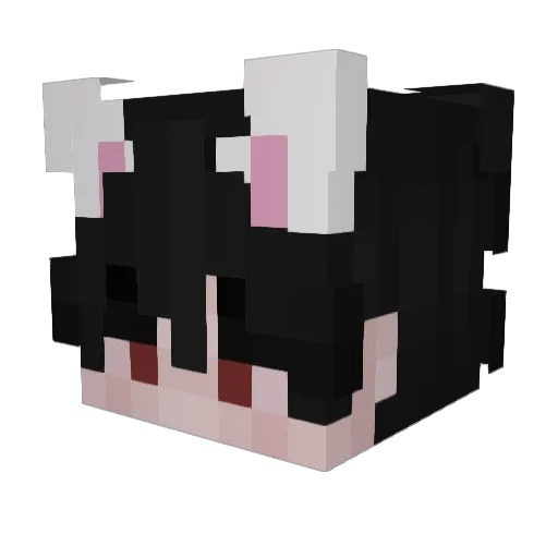 6vL Minecraft avatar head, 3D render