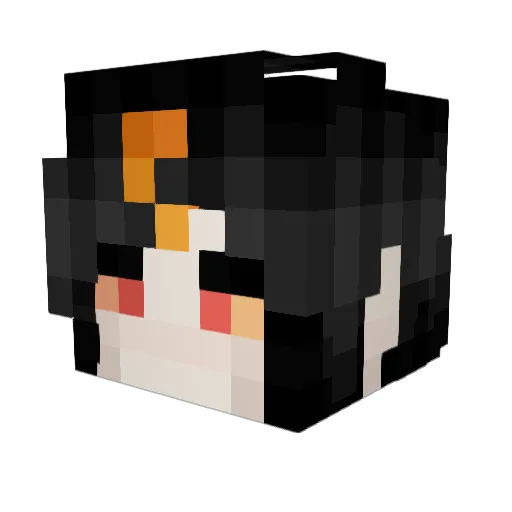 6vxv Minecraft avatar head, 3D render