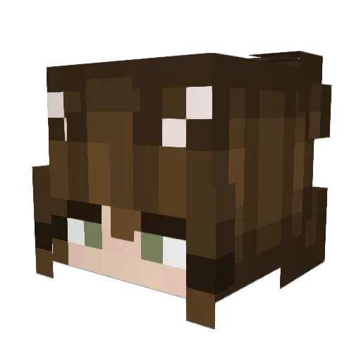 6w3nb Minecraft avatar head, 3D render