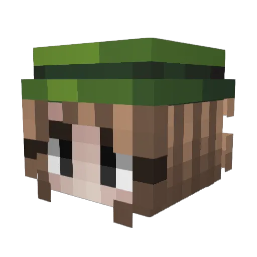 6wakuseii Minecraft avatar head, 3D render