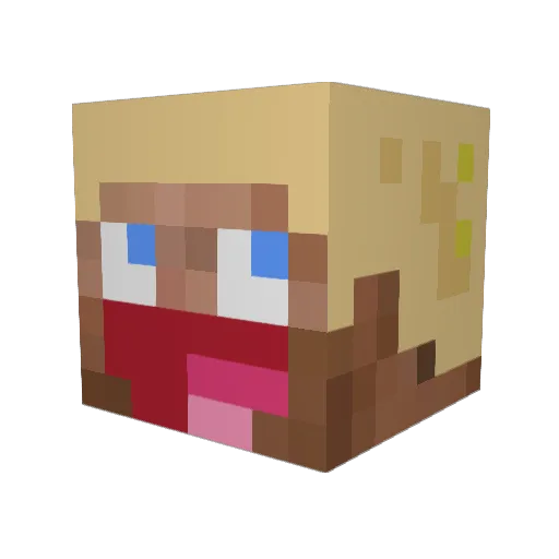 6x_x7 Minecraft avatar head, 3D render