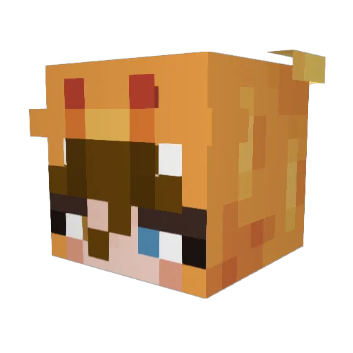 70min Minecraft avatar head, 3D render