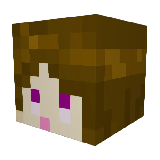 71Arjan29 Minecraft avatar head, 3D render