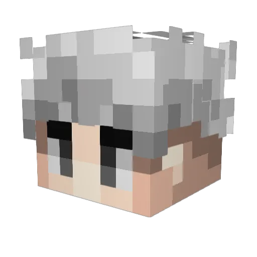 71Vortex_ Minecraft avatar head, 3D render