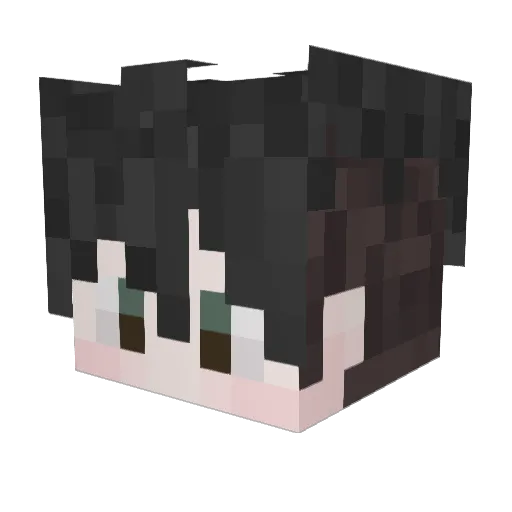 720roshi Minecraft avatar head, 3D render