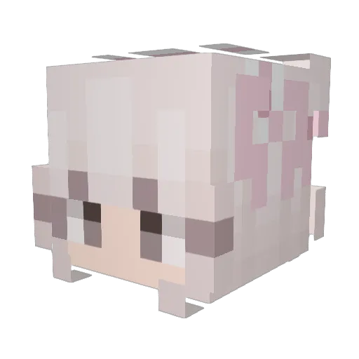 72O6 Minecraft avatar head, 3D render
