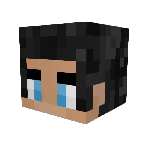 737factor Minecraft avatar head, 3D render