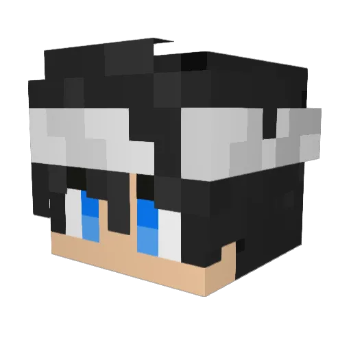 737lui737 Minecraft avatar head, 3D render