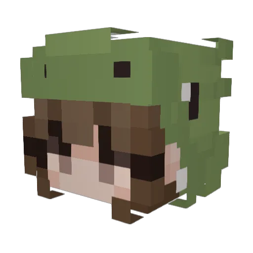 75FramesOfCold Minecraft avatar head, 3D render