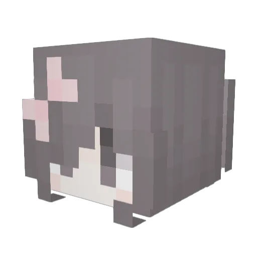 762937692769237 Minecraft avatar head, 3D render