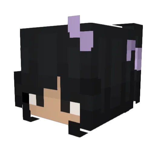 765z Minecraft avatar head, 3D render