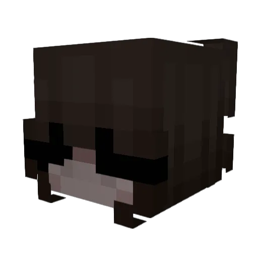76hp Minecraft avatar head, 3D render