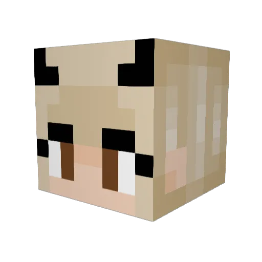 76hrs Minecraft avatar head, 3D render