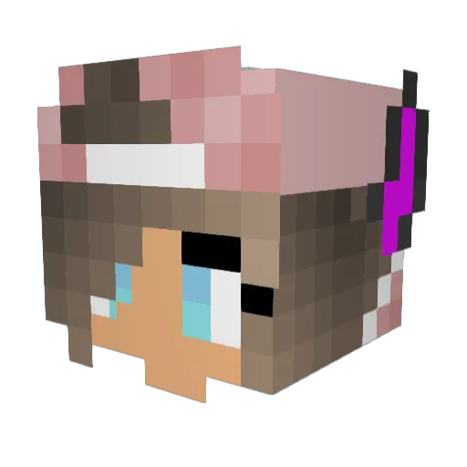 76tidpig Minecraft avatar head, 3D render
