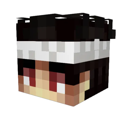 772pilot_ Minecraft avatar head, 3D render