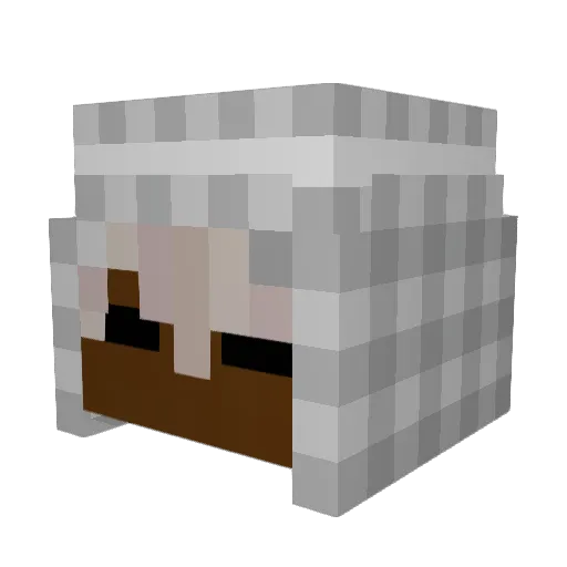 77565 Minecraft avatar head, 3D render