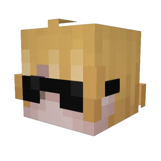 781nico Minecraft avatar head, 3D render