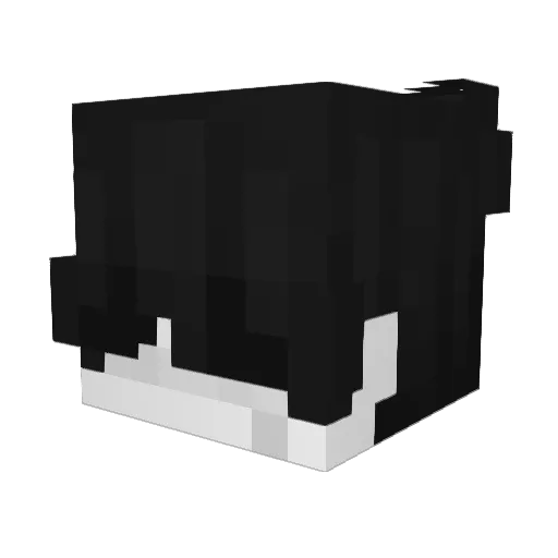 7Chrollo7 Minecraft avatar head, 3D render