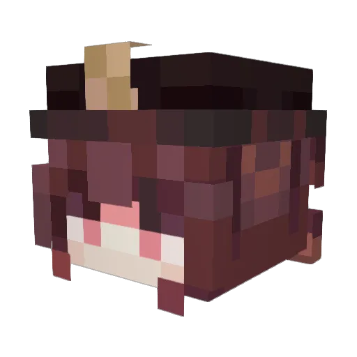 7HUTAO7 Minecraft avatar head, 3D render