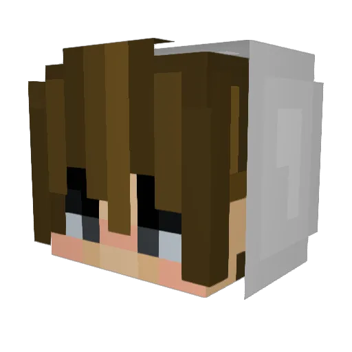 7L14 Minecraft avatar head, 3D render